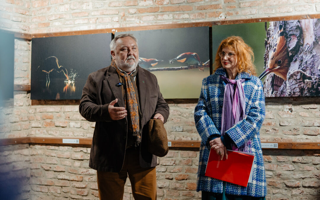 Elkapni a pillanatot