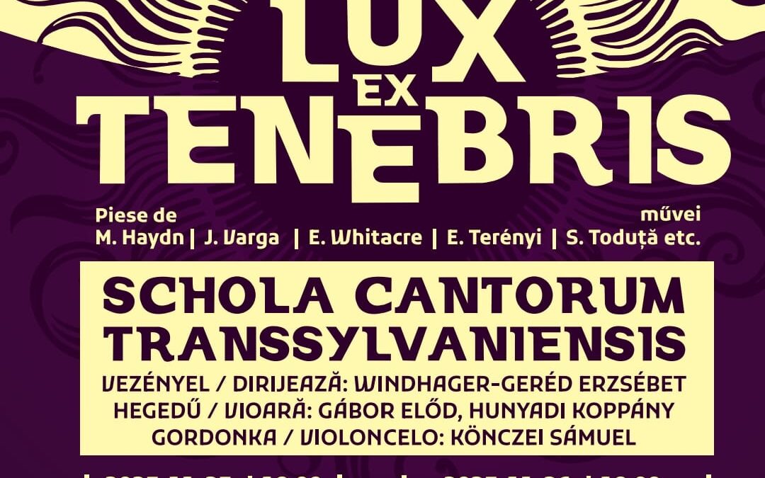 Lux ex Tenebris